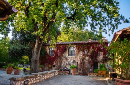 12-esterno-giardino-gallery