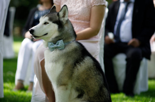 201005_lismar0453