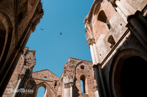 San_Galgano_Wedding_Photographer_Tuscany_Fabio_Marras_Toskana_hochzeitsfotograf_ (2)
