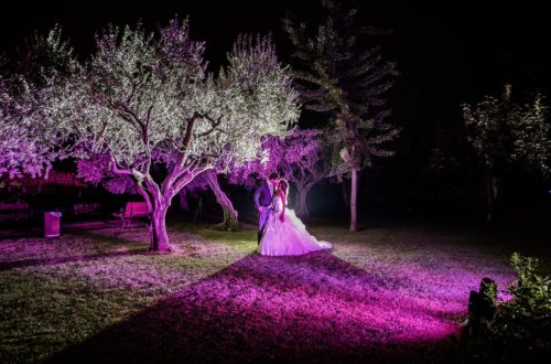 Sposi notturna parco_preview