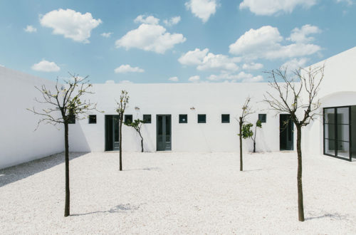 masseria_moroseta_ostuni_andrew_trotter_salva_lopez_19