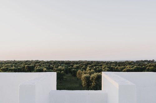masseria_moroseta_ostuni_andrew_trotter_salva_lopez_3