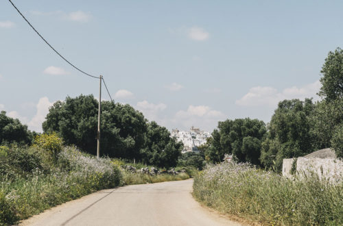 masseria_moroseta_ostuni_andrew_trotter_salva_lopez_8
